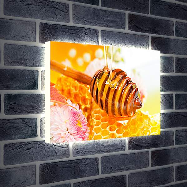 Лайтбокс световая панель - Мед и цветок