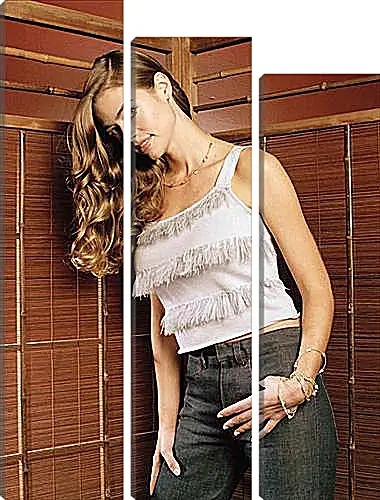 Модульная картина - Denise Richards - Дениз Ричардс
