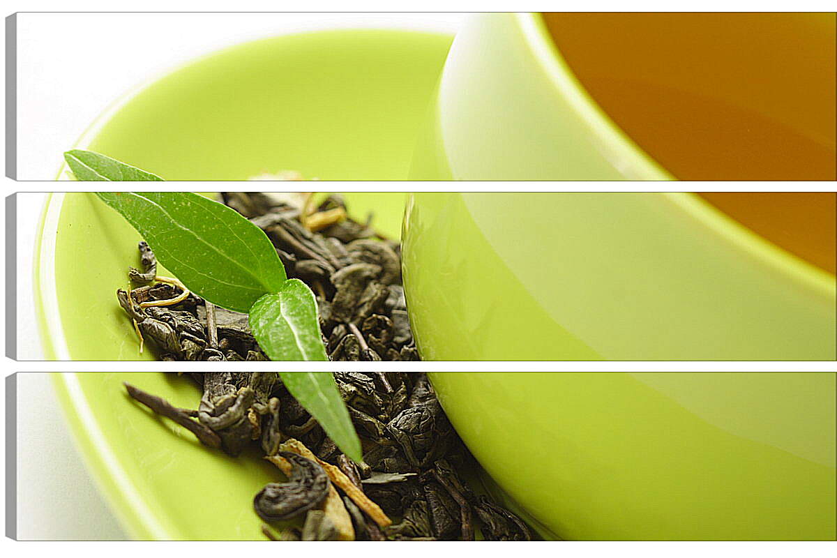 Модульная картина - Чашка зеленого чая