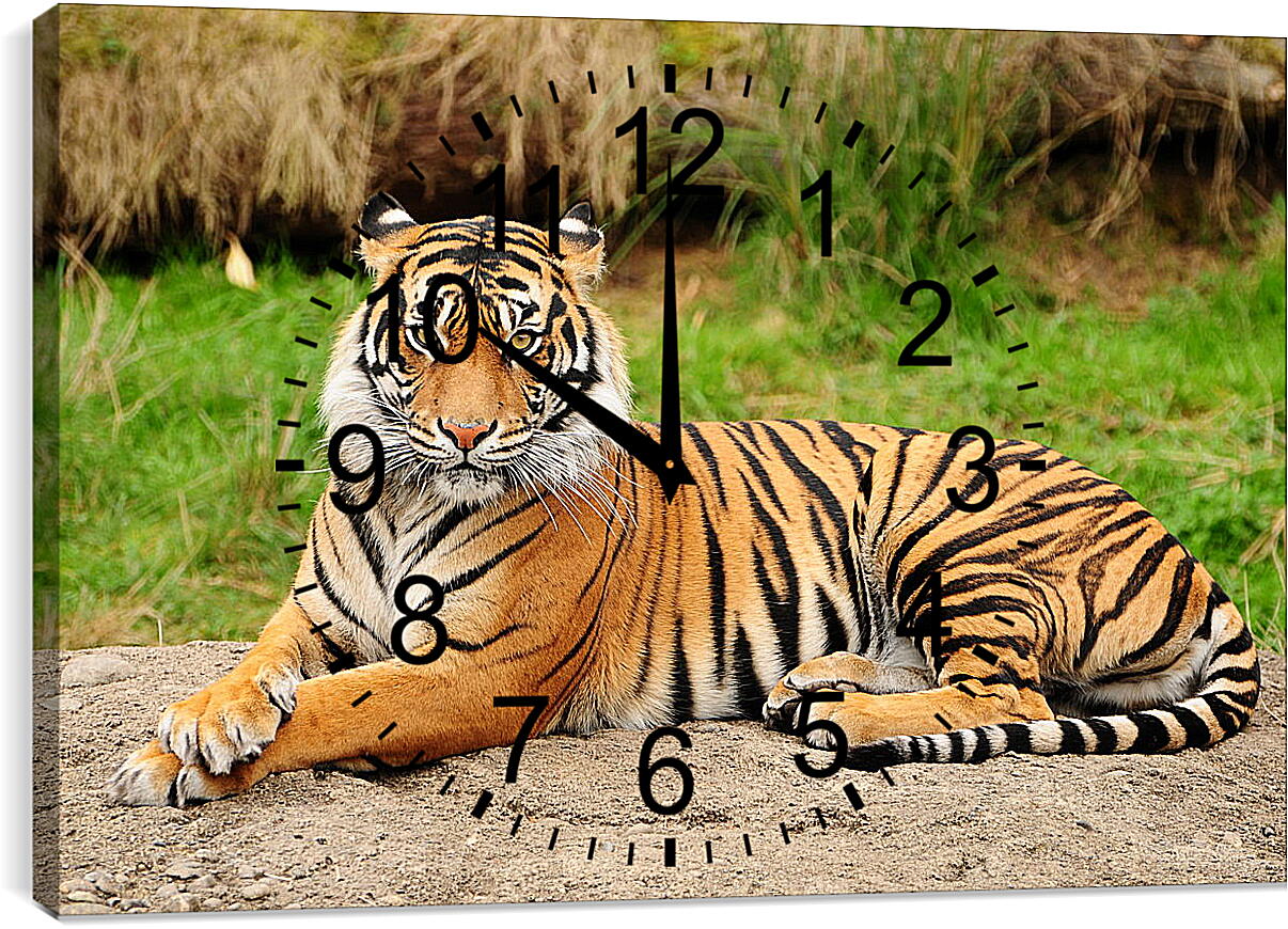 Часы картина - Тигр
