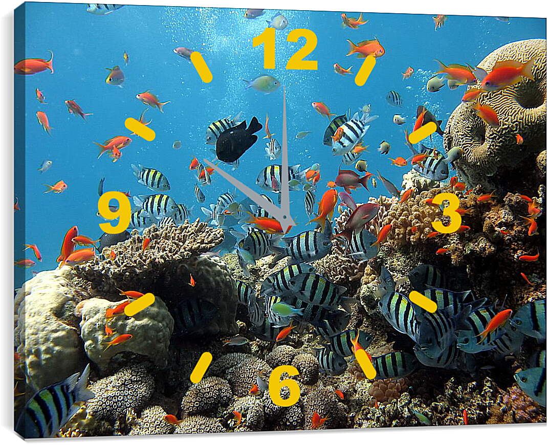 Часы картина - Морской риф
