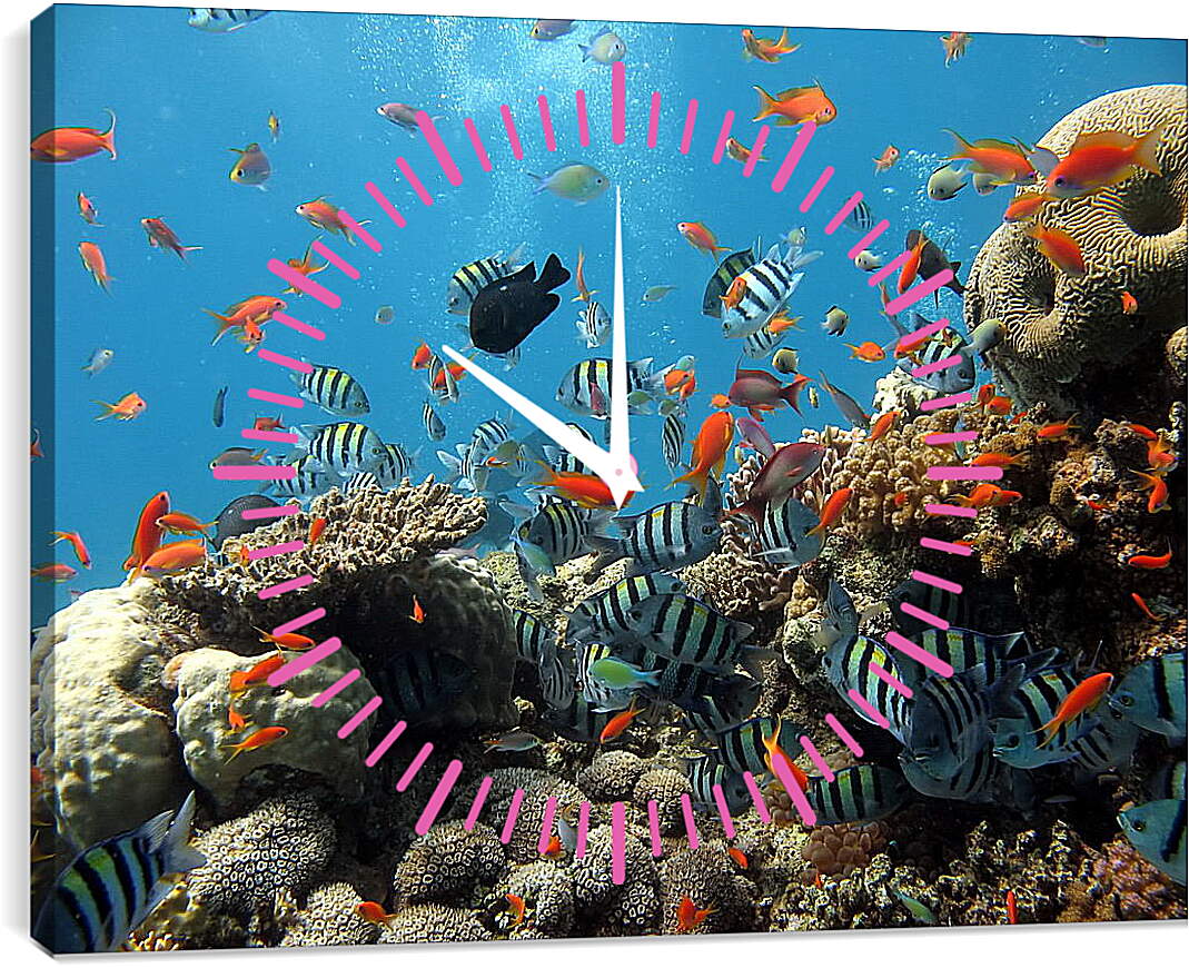 Часы картина - Морской риф

