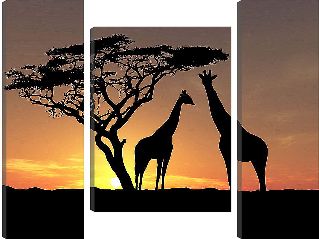 Модульная картина - Пара жирафов на закате
