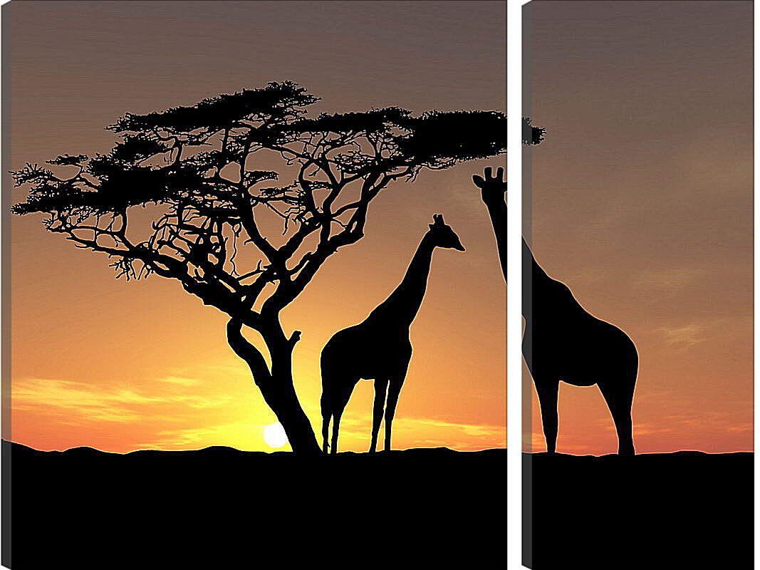 Модульная картина - Пара жирафов на закате
