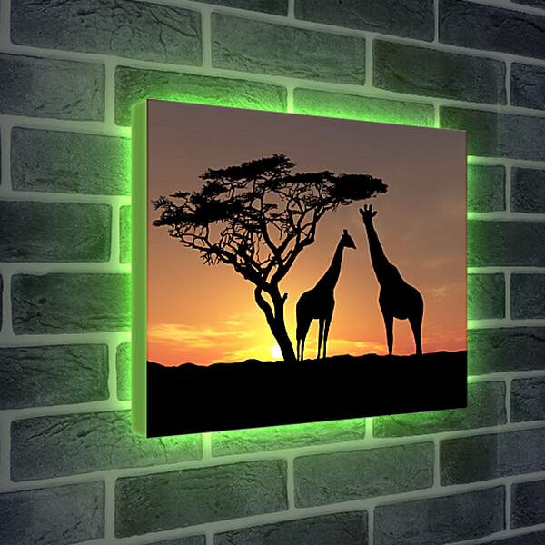 Лайтбокс световая панель - Пара жирафов на закате
