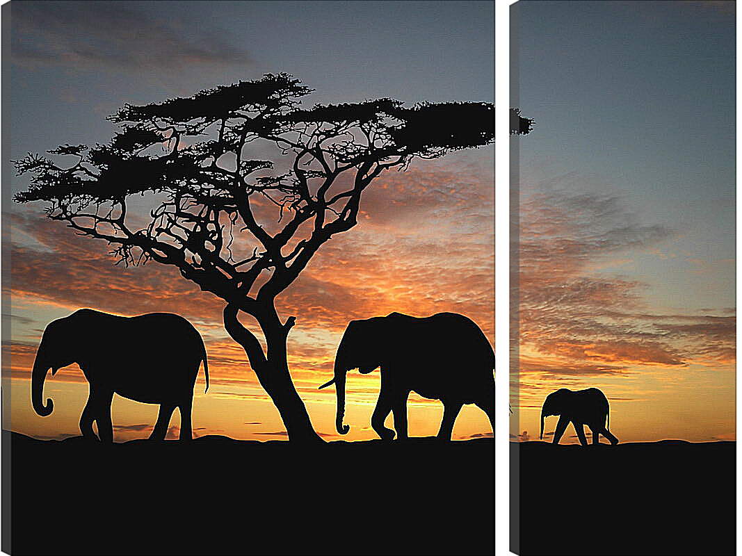 Модульная картина - Семья слонов на закате
