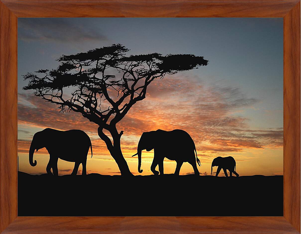 Картина в раме - Семья слонов на закате
