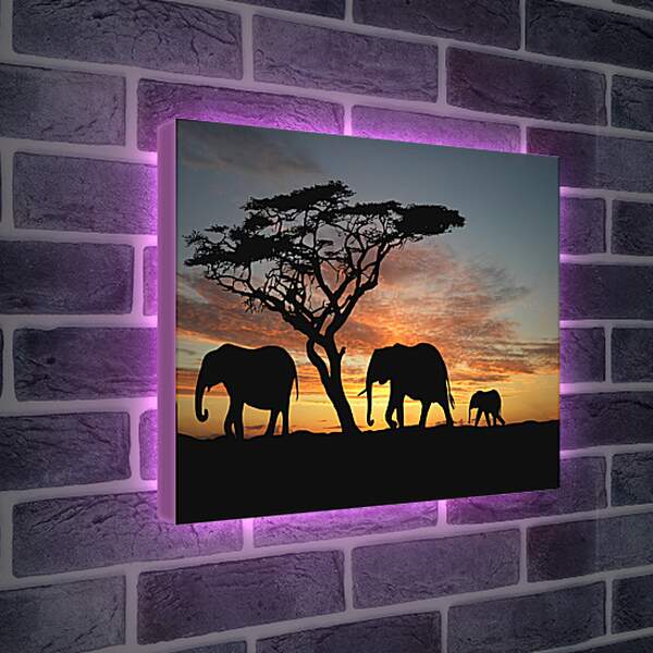 Лайтбокс световая панель - Семья слонов на закате
