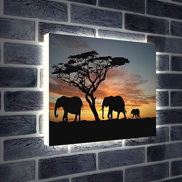 Лайтбокс световая панель - Семья слонов на закате
