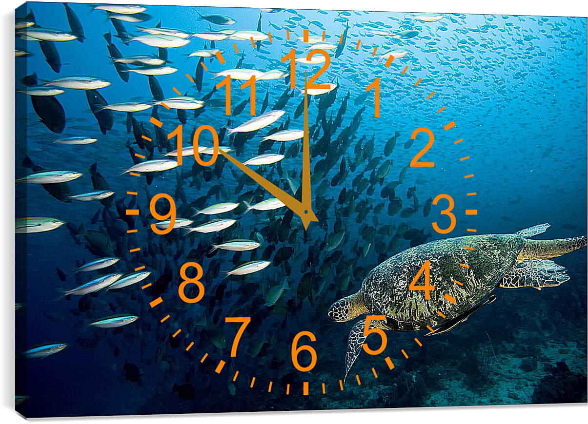 Часы картина - Морская черепаха
