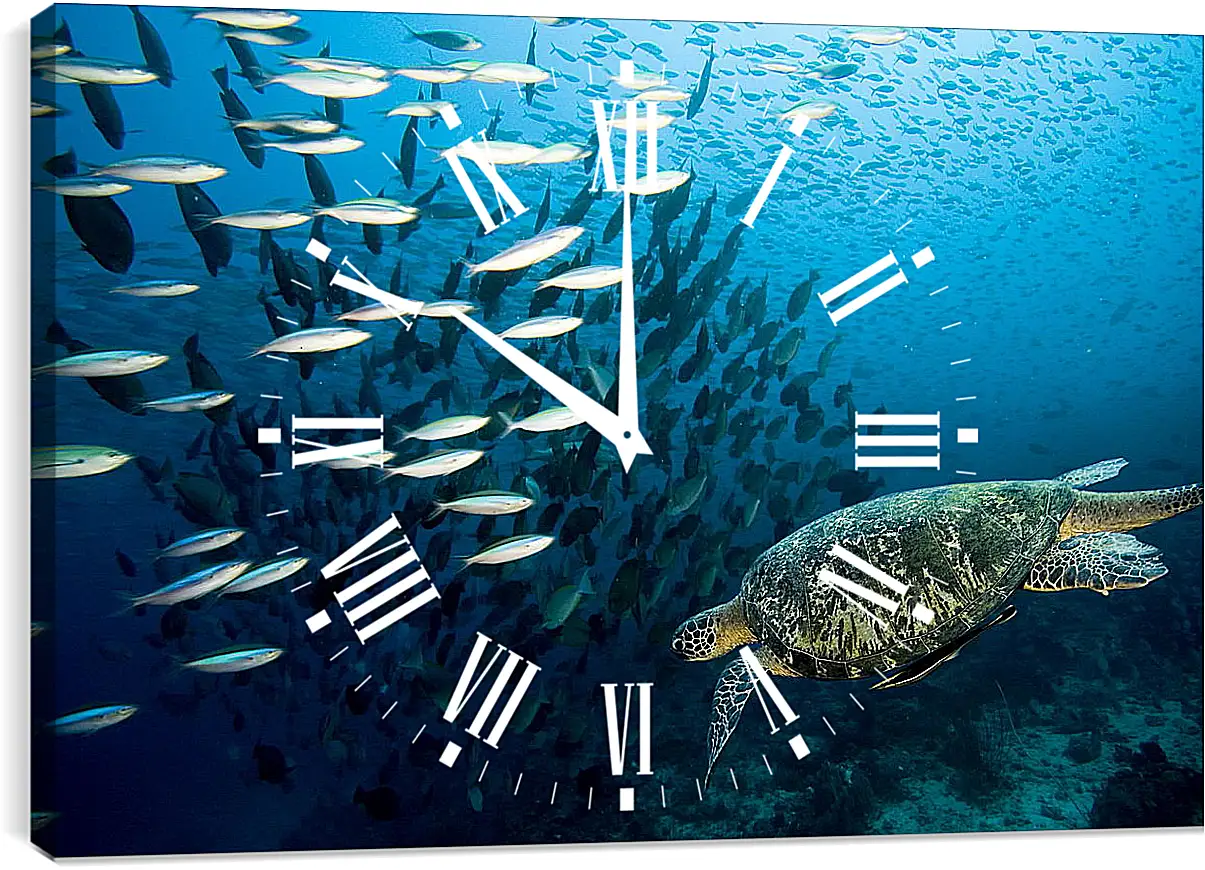 Часы картина - Морская черепаха
