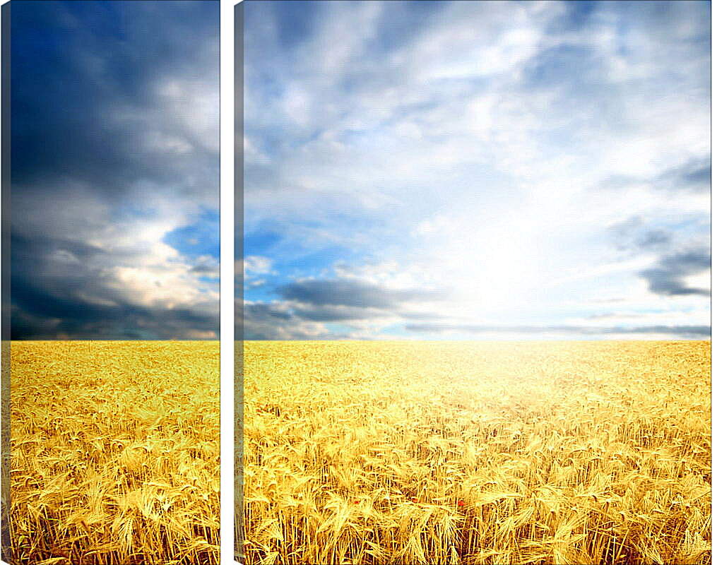 Модульная картина - Пшеница
