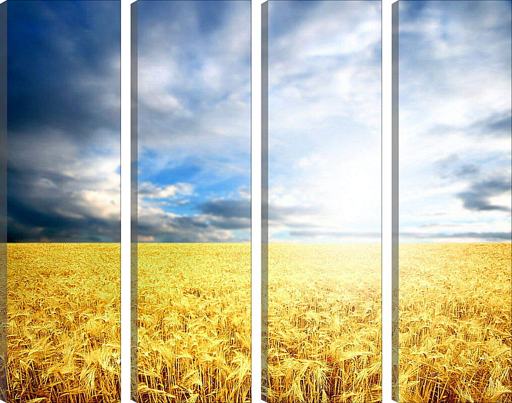 Модульная картина - Пшеница
