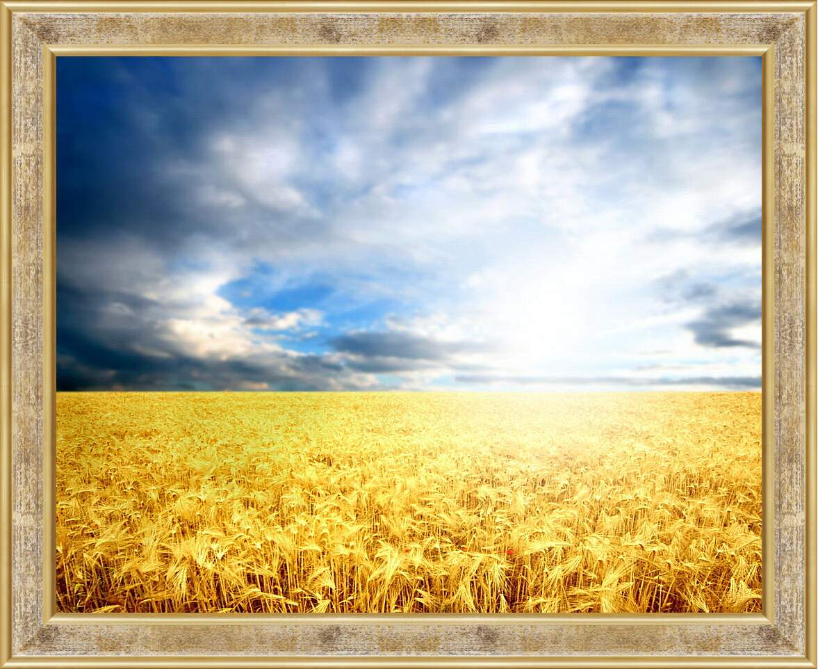 Картина в раме - Пшеница
