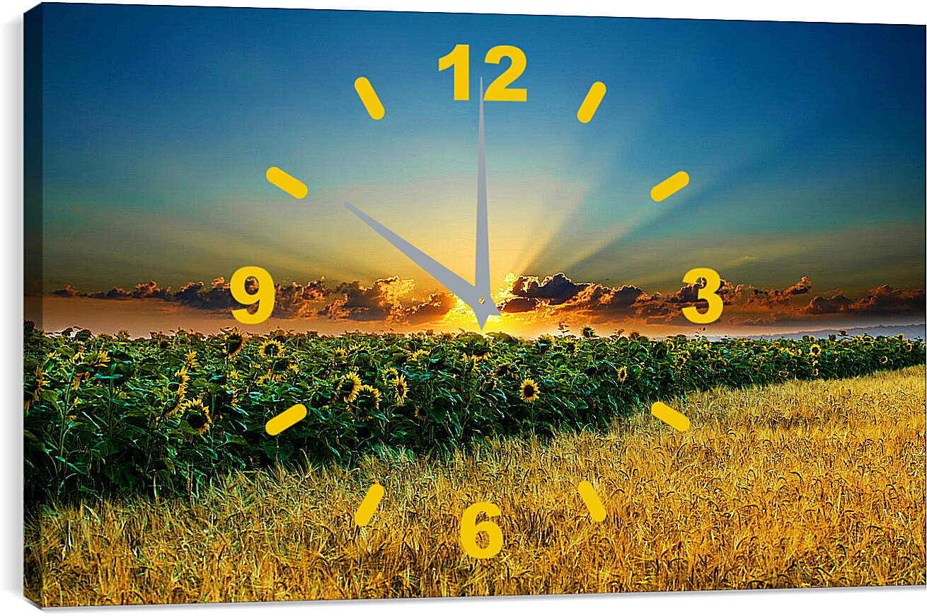 Часы картина - Закт на поле подсолнухов
