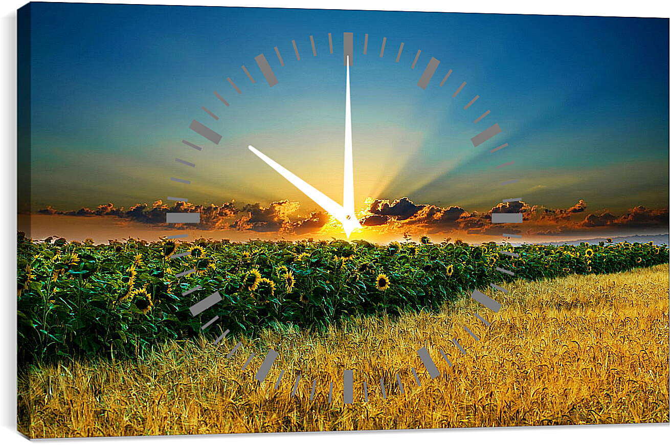 Часы картина - Закт на поле подсолнухов
