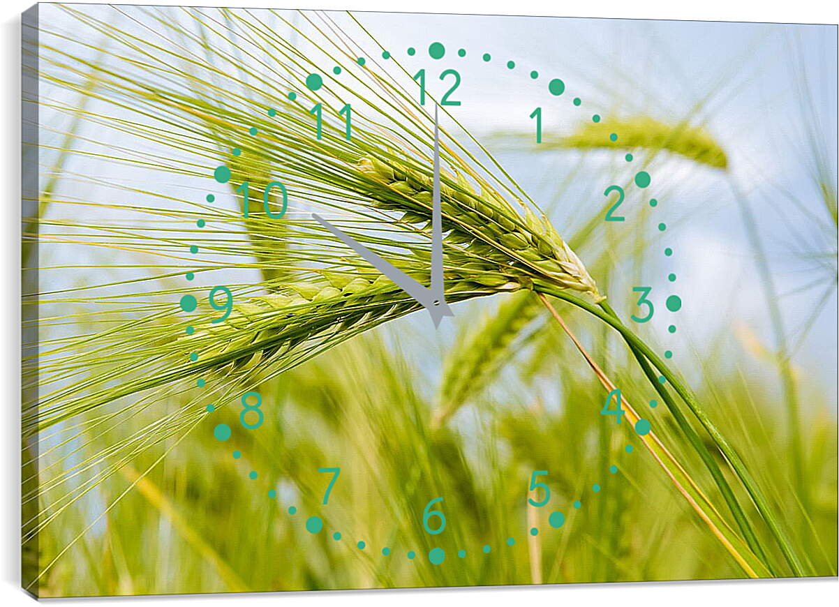 Часы картина - Колоски пшеницы
