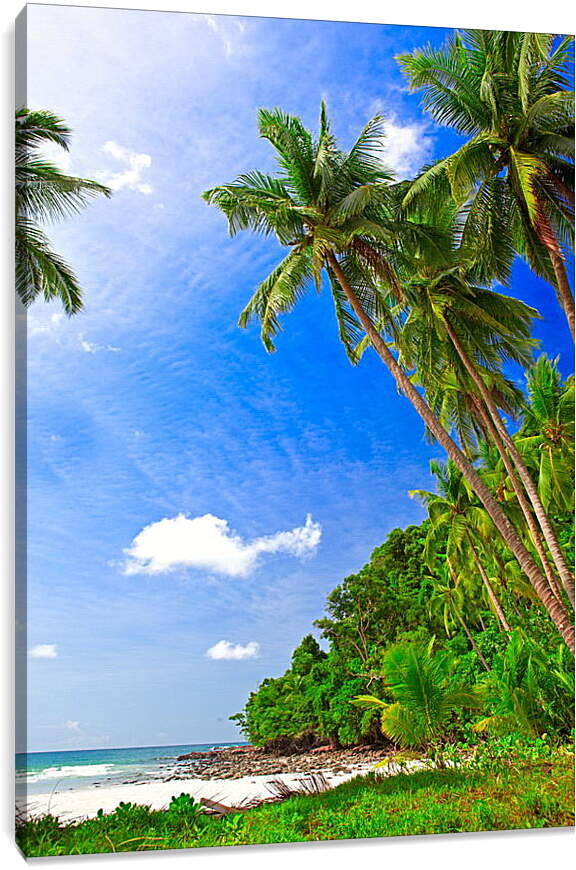 Постер и плакат - Тропический пляж

