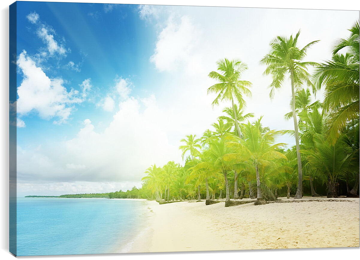 Постер и плакат - Пальмы на пляже
