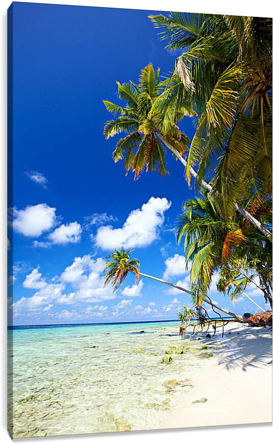 Постер и плакат - Белый песок карибского берега
