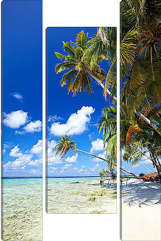 Модульная картина - Белый песок карибского берега

