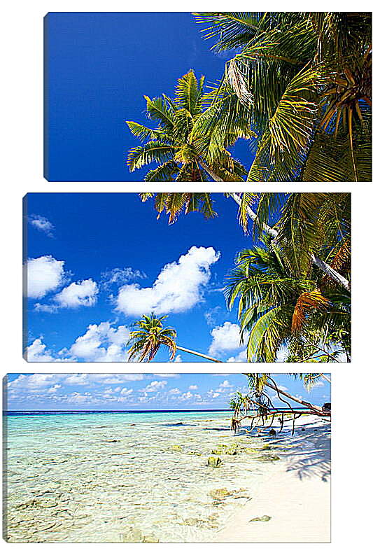 Модульная картина - Белый песок карибского берега
