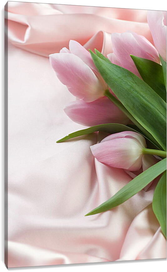 Постер и плакат - Розовые тюльпаны
