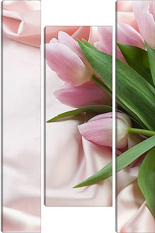 Модульная картина - Розовые тюльпаны
