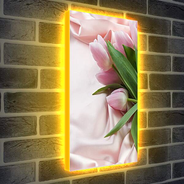 Лайтбокс световая панель - Розовые тюльпаны
