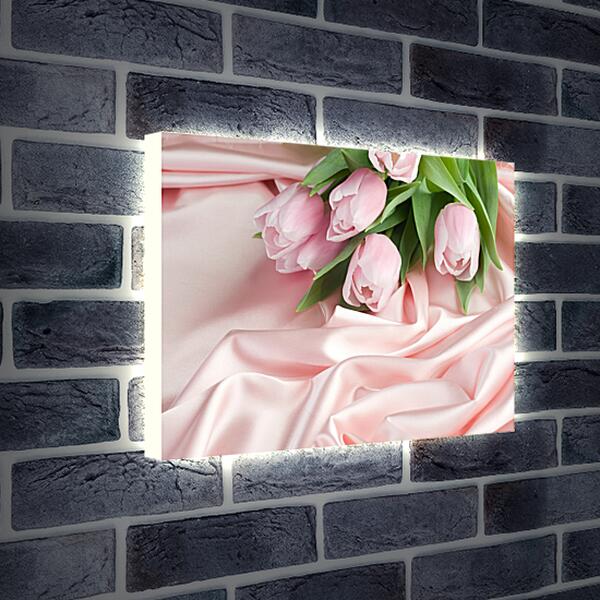 Лайтбокс световая панель - Нежные тюльпаны на розовом шелке
