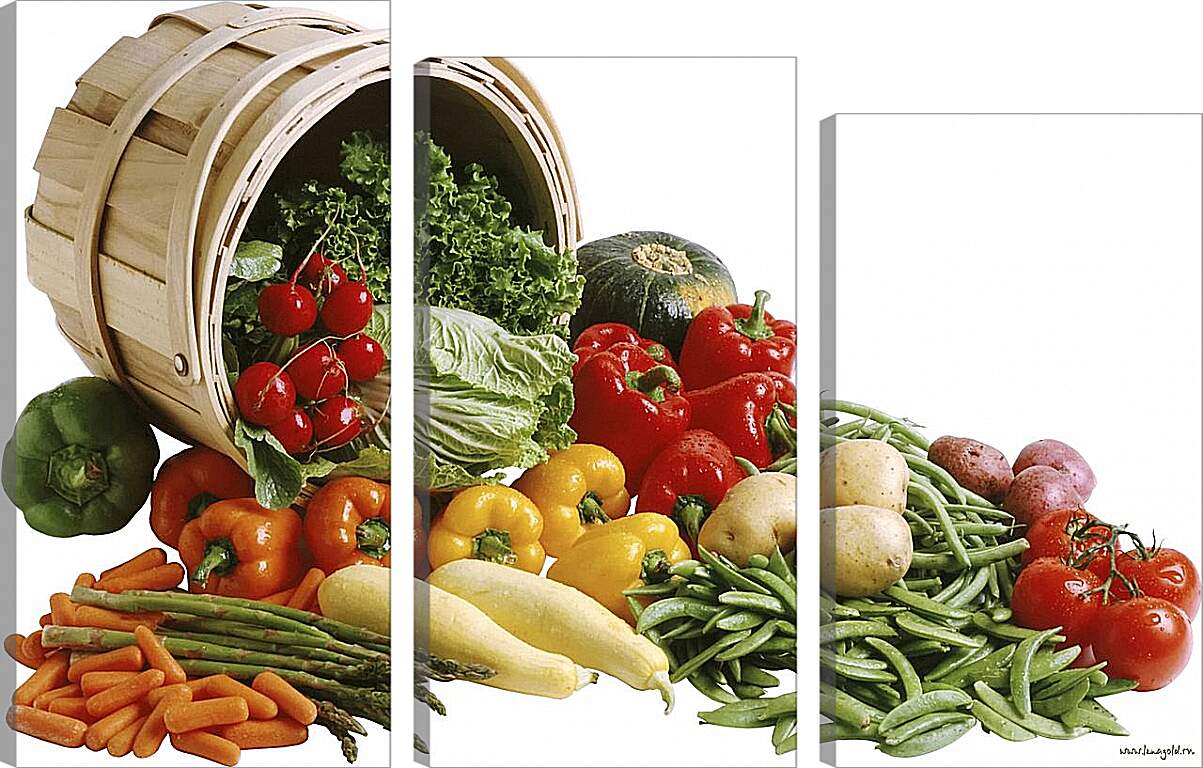 Модульная картина - Набор овощей рассыпанных с ведра