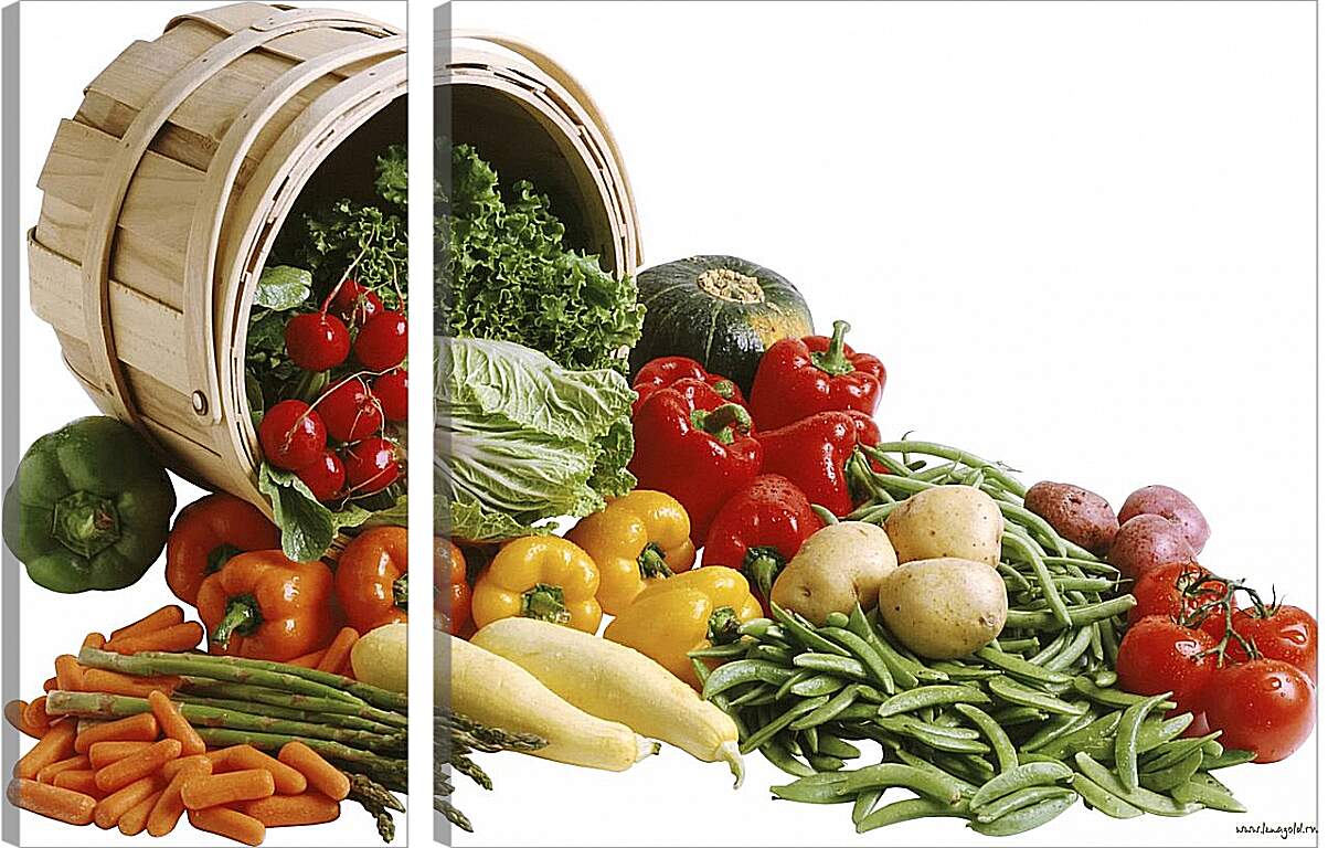 Модульная картина - Набор овощей рассыпанных с ведра
