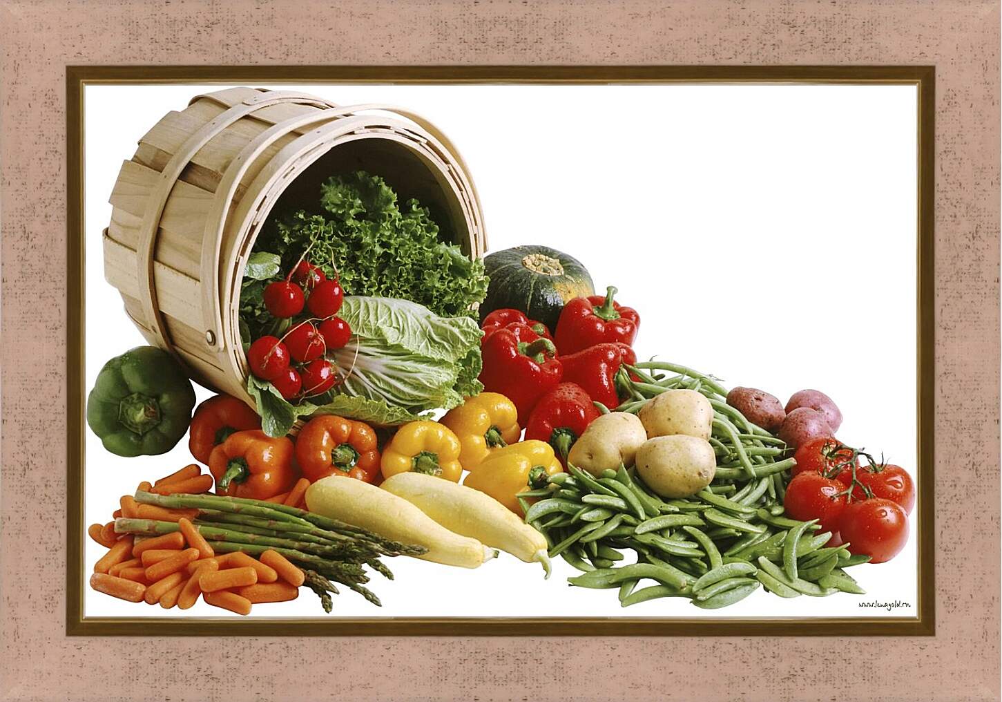 Картина в раме - Набор овощей рассыпанных с ведра
