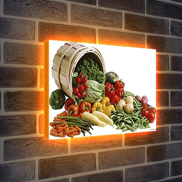 Лайтбокс световая панель - Набор овощей рассыпанных с ведра