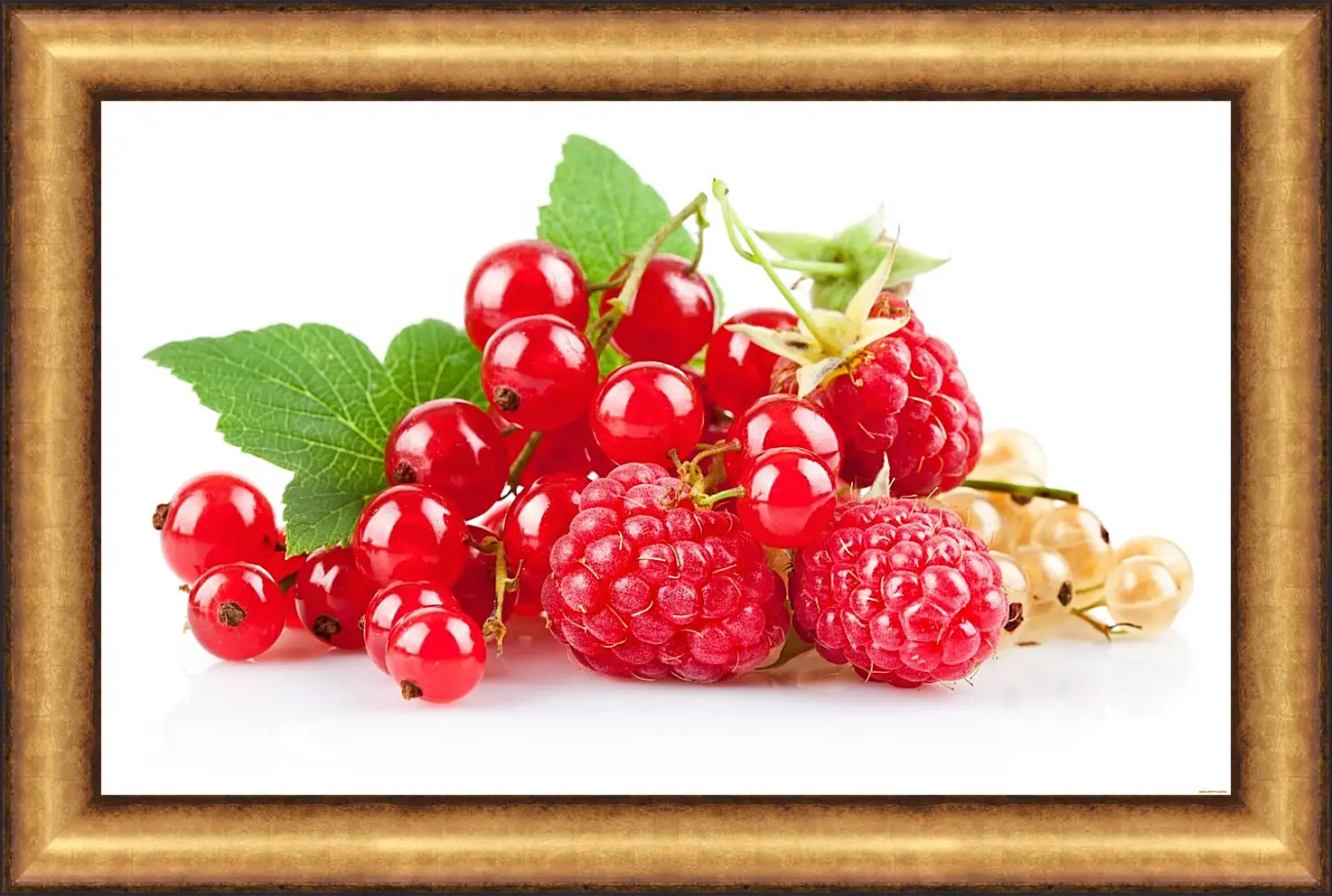 Прозрачные ягоды фото Grappa Aromatica al Ribes Ricetta Fruit, Berries, Currant berry