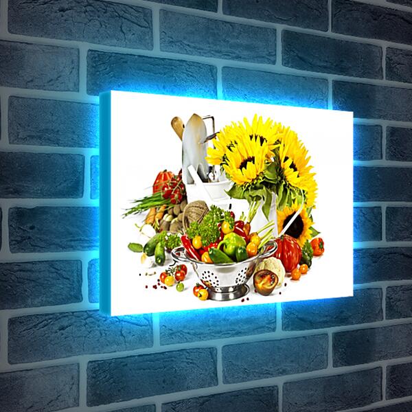 Лайтбокс световая панель - Подсолнухи и овощи