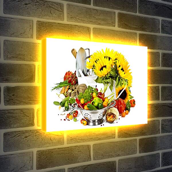 Лайтбокс световая панель - Подсолнухи и овощи