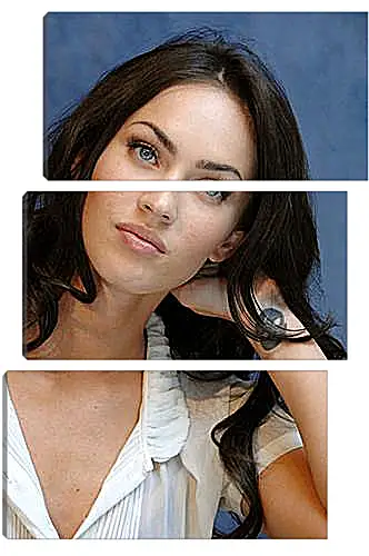 Модульная картина - Megan Fox - Меган Фокс
