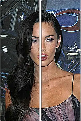 Модульная картина - Megan Fox - Меган Фокс
