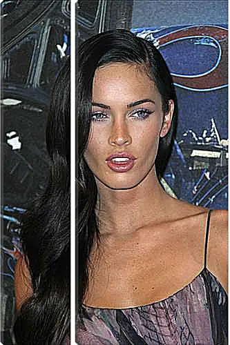 Модульная картина - Megan Fox - Меган Фокс
