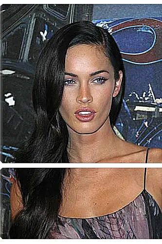 Модульная картина - Megan Fox - Меган Фокс
