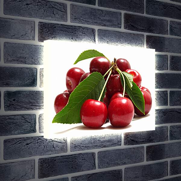 Лайтбокс световая панель - Вишня с листьями