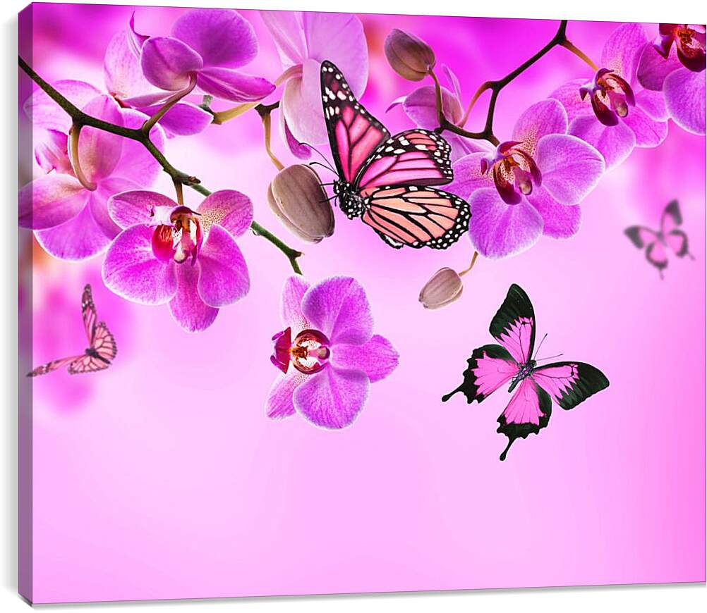 Постер и плакат - Розовые орхидеи и бабочки