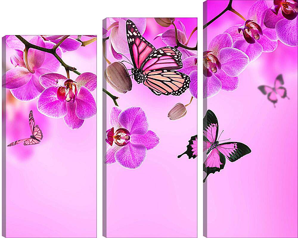Модульная картина - Розовые орхидеи и бабочки