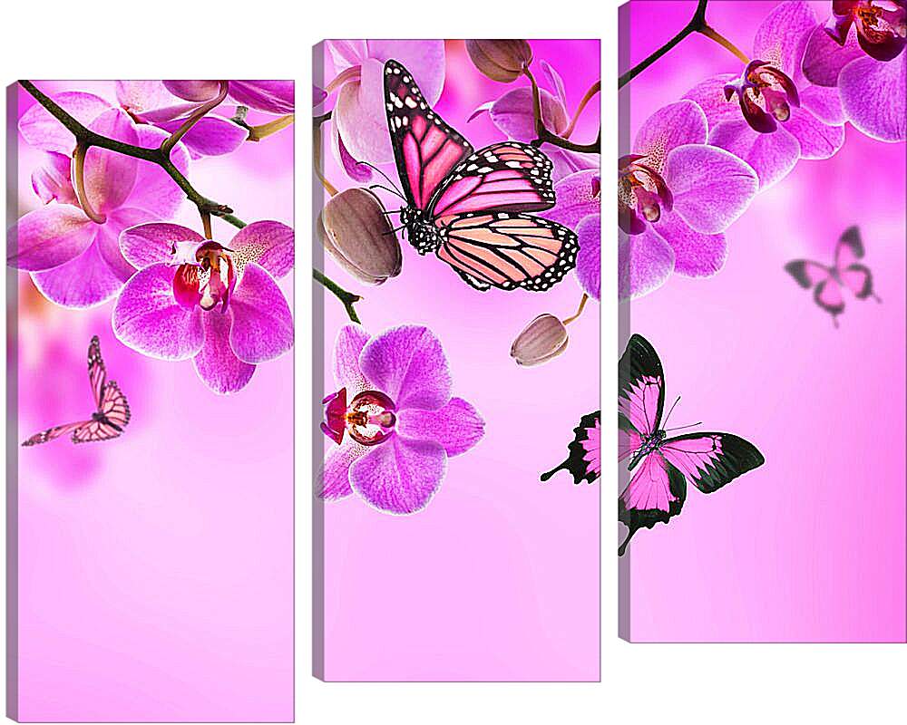 Модульная картина - Розовые орхидеи и бабочки