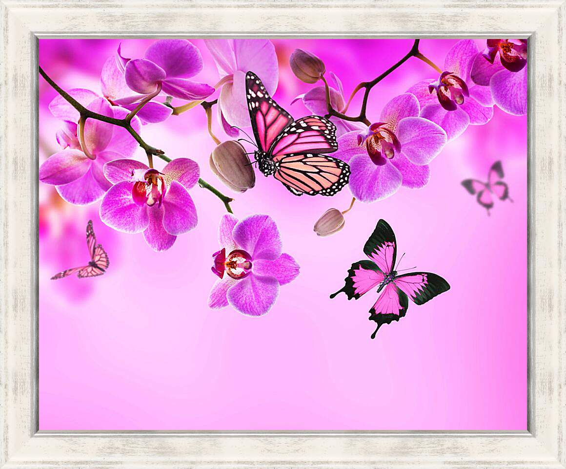 Картина в раме - Розовые орхидеи и бабочки