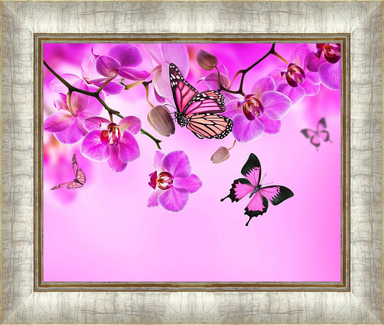 Картина в раме - Розовые орхидеи и бабочки