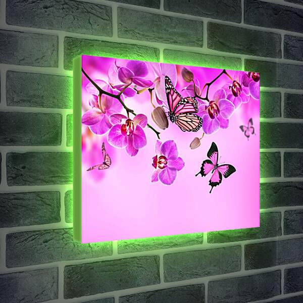 Лайтбокс световая панель - Розовые орхидеи и бабочки