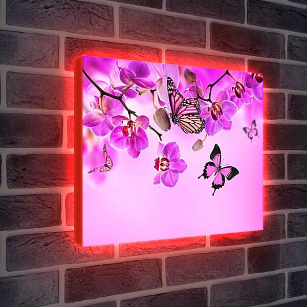 Лайтбокс световая панель - Розовые орхидеи и бабочки