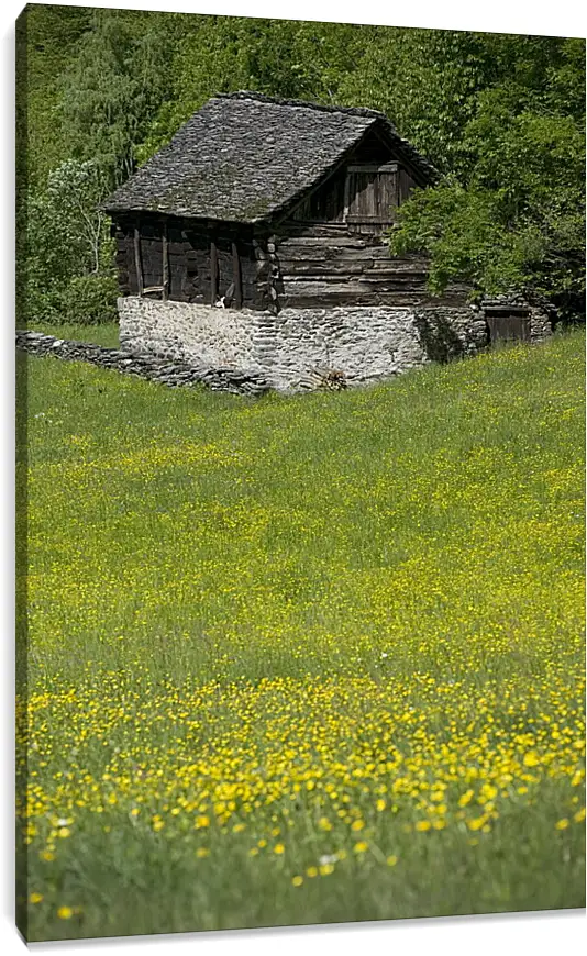 Постер и плакат - Домик в горах
